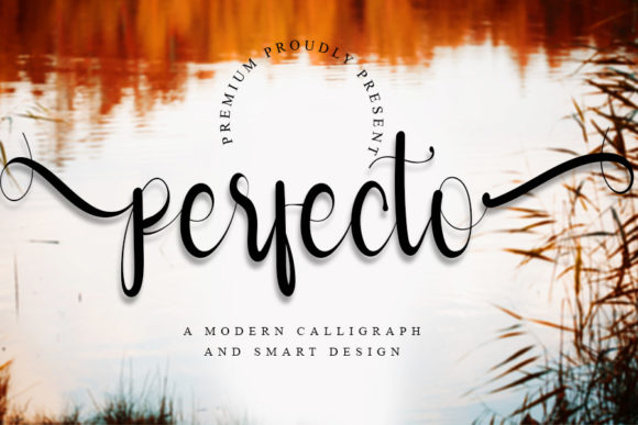 Perfecto: A Whimsical Script Typeface for Digital Branding