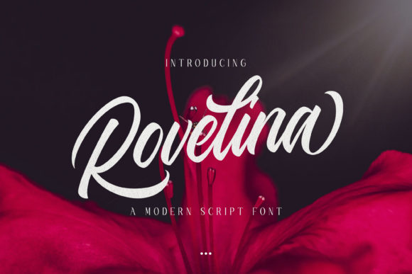 Rovelina: The Modern Script Font for Handmade Brands