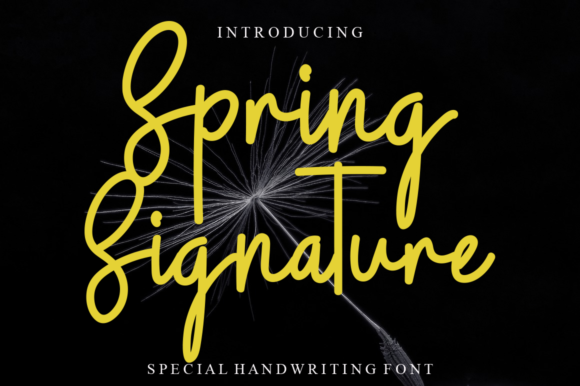 Spring Signature: The Handwritten Typeface for Authentic Brand Identity
